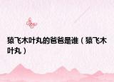 猿飞木叶丸的爸爸是谁（猿飞木叶丸）