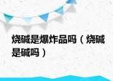 烧碱是爆炸品吗（烧碱是碱吗）