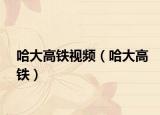 哈大高铁视频（哈大高铁）