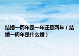 结婚一周年是一年还是两年（结婚一周年是什么婚）