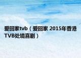 爱回家tvb（爱回家 2015年香港TVB处境喜剧）
