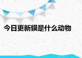 今日更新貘是什么动物