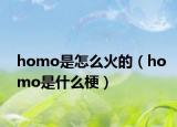 homo是怎么火的（homo是什么梗）