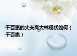 千百惠的丈夫高大林现状如何（千百惠）