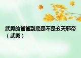武勇的爸爸到底是不是玄天邪帝（武勇）