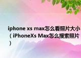iphone xs max怎么看照片大小（iPhoneXs Max怎么搜索照片）