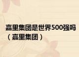 嘉里集团是世界500强吗（嘉里集团）