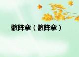 髌阵挛（髌阵挛）