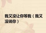 我又没让你等我（我又没说你）