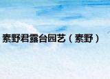 素野君露台园艺（素野）