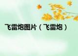 飞雷炮图片（飞雷炮）