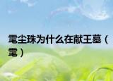 雮尘珠为什么在献王墓（雮）