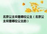 北京公主坟是哪位公主（北京公主坟是哪位公主的）