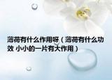 薄荷有什么作用呀（薄荷有什么功效 小小的一片有大作用）