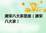 唐宋八大家是谁（唐宋八大家）