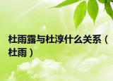 杜雨露与杜淳什么关系（杜雨）