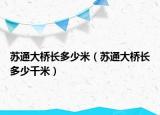 苏通大桥长多少米（苏通大桥长多少千米）