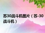苏30战斗机图片（苏-30战斗机）