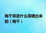 梅干菜是什么菜晒出来的（梅干）