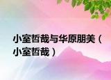 小室哲哉与华原朋美（小室哲哉）