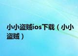 小小盗贼ios下载（小小盗贼）