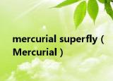 mercurial superfly（Mercurial）