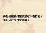 身份码在支付宝哪里可以看得到（身份码在支付宝哪里）