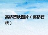 高桥智秋图片（高桥智秋）