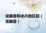 龙脑香和冰片的区别（龙脑香）