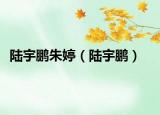 陆宇鹏朱婷（陆宇鹏）