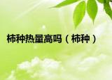 柿种热量高吗（柿种）