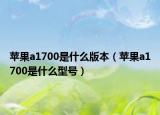 苹果a1700是什么版本（苹果a1700是什么型号）