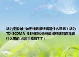 华为平板td-lte无线数据终端是什么意思（华为TD-SCDMA  GSM双模无线数据终端到底是做什么用的,求高手指教T T）