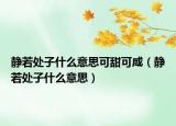 静若处子什么意思可甜可咸（静若处子什么意思）