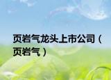 页岩气龙头上市公司（页岩气）