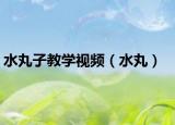 水丸子教学视频（水丸）