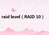 raid level（RAID 10）