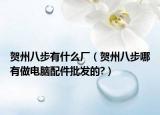 贺州八步有什么厂（贺州八步哪有做电脑配件批发的?）