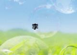 李