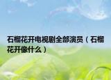石榴花开电视剧全部演员（石榴花开像什么）