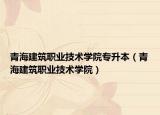 青海建筑职业技术学院专升本（青海建筑职业技术学院）