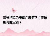 蒙特祖玛的宝藏在哪里下（蒙特祖玛的宝藏）