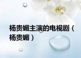 杨贵媚主演的电视剧（杨贵媚）