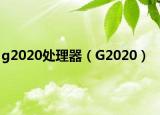 g2020处理器（G2020）