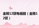 金陵12钗电视剧（金陵12钗）