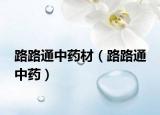 路路通中药材（路路通 中药）
