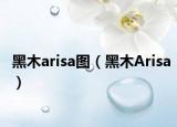 黑木arisa图（黑木Arisa）
