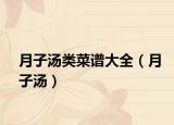 月子汤类菜谱大全（月子汤）