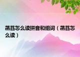 菡萏怎么读拼音和组词（菡萏怎么读）