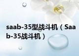 saab-35型战斗机（Saab-35战斗机）